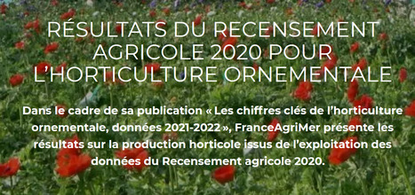 Résultats du recensement agricole 2020 pour l’horticulture ornementale | HORTICULTURE | Scoop.it