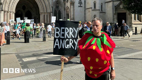 Wimbledon expansion land cannot be built upon, High Court told | The Business of Sports Management | Scoop.it