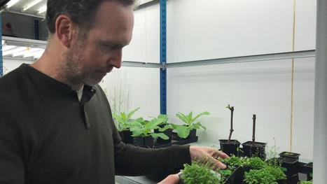 Un chercheur de l&rsquo;universit&eacute; de Reims publi&eacute; dans le magazine Science | Le fil d'actualit&eacute;s de l'URCA | Scoop.it