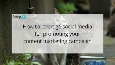 How to Leverage Social Media for Promoting Your Content Marketing Campaign | 21st Century Learning and Teaching | Scoop.it