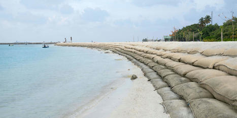 Le sable, une ressource exploitée sans contrôle | Biodiversité | Scoop.it