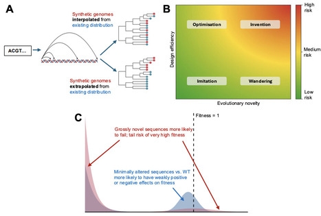 Quantifying evolutionary novelty and design efficiency in generative genome design | brvsb | RMH | Scoop.it