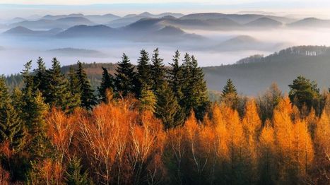 “Vosges sauvages” : le poids des jolis mots , le choc des belles images | veille territoriale | Scoop.it