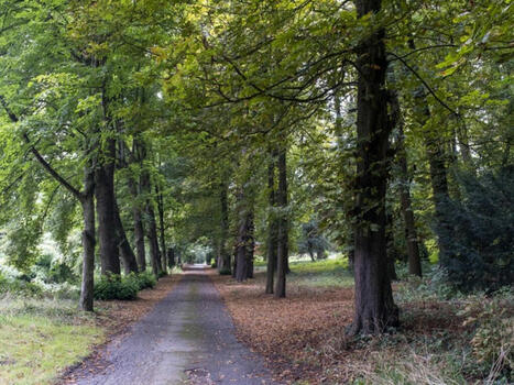 Châtenay-Malabry : un ancien site sportif devient un grand parc de huit hectares au cœur de la ville | Paysage - Agriculture | Scoop.it