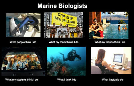 You want to be a marine biologist? | Deep Sea News | Soggy Science | Scoop.it
