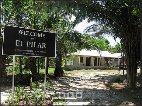 Birding at El Pilar Archaeological Site | Cayo Scoop!  The Ecology of Cayo Culture | Scoop.it