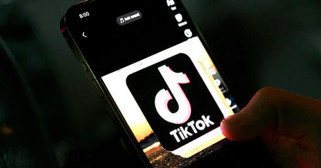 Michel Desmurget: &laquo;Comment TikTok utilise la psychologie pour asservir la jeunesse occidentale&raquo; | Famille et sexualit&eacute; | Scoop.it