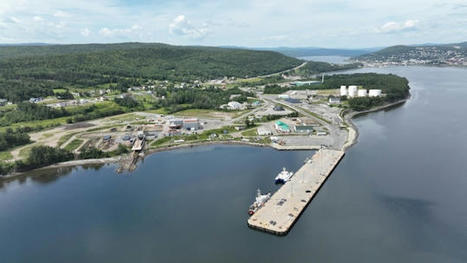 Quatre ports de l’Est-du-Québec engagés à devenir plus verts | Revue de presse La Matanie | Scoop.it