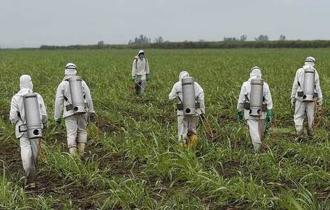 Le dicamba de Monsanto, ce cousin controversé du glyphosate, obtient son autorisation aux USA. Bientôt l’Europe ? | KILUCRU | Scoop.it