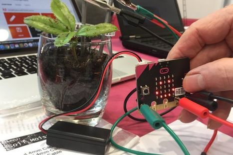 Micro Bit mini-computer heads overseas | #Maker #MakerED #MakerSpace #Coding | 21st Century Learning and Teaching | Scoop.it