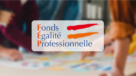 Participez &agrave; la promotion de l&rsquo;&eacute;galit&eacute; professionnelle entre les femmes et les hommes dans la fonction publique | Veille juridique du CDG13 | Scoop.it