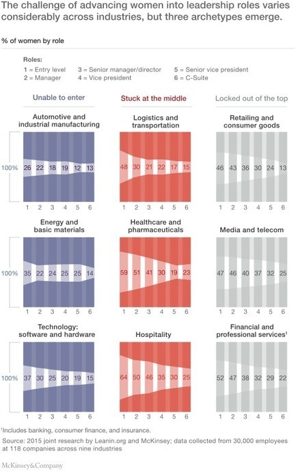 Breaking down the gender challenge | McKinsey & Company | Connection | Scoop.it