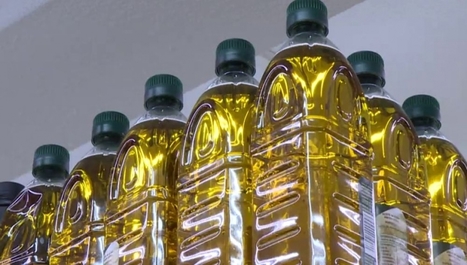 La Spagna olivicola si aggrappa alla speranza dell'export | OLIVE NEWS | Scoop.it