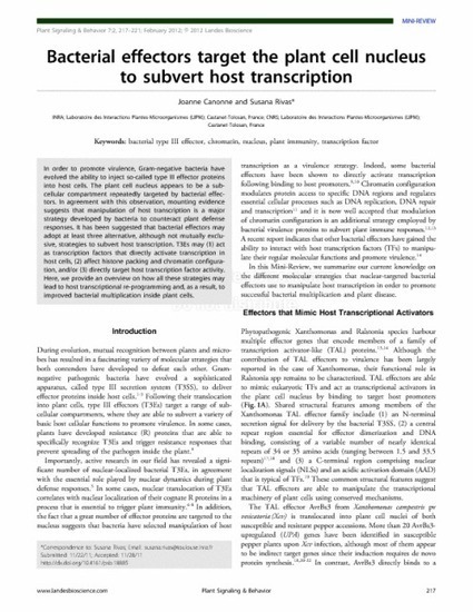 Bacterial effectors target the plant cell nucleus to subvert host transcription -  Plant Signaling & Behavior | TAL effector science | Scoop.it