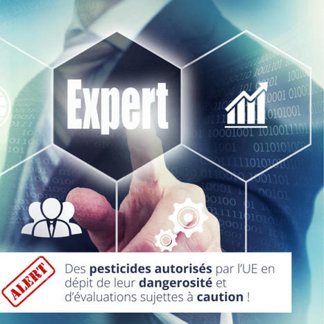 Scandale : des pesticides autorisés par l’UE en dépit de leur dangerosité et d’évaluations sujettes à caution ! | Toxique, soyons vigilant ! | Scoop.it