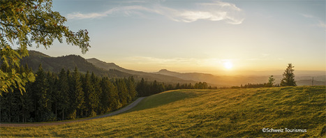 Prévisions pour le tourisme suisse - été 2025 | (Macro)Tendances Tourisme & Travel | Scoop.it