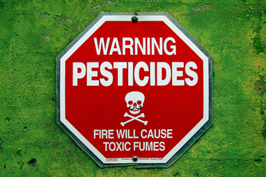 Danger des pesticides : on a vérifié les "salades" des fabricants | Les Colocs du jardin | Scoop.it