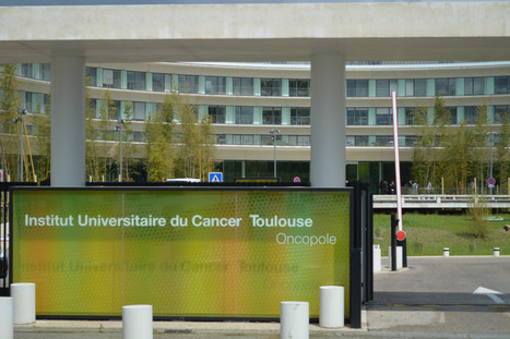Cancer. Toulouse organise son premier congrès mondial du 3 au 5 février 2016 | Revue de presse | Scoop.it