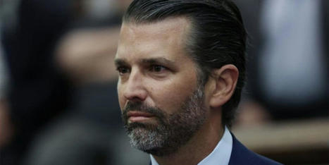 'They're going to go out of business': George Conway dumps on Trump Jr.'s testimony - Raw Story | Operation Deimos | Scoop.it