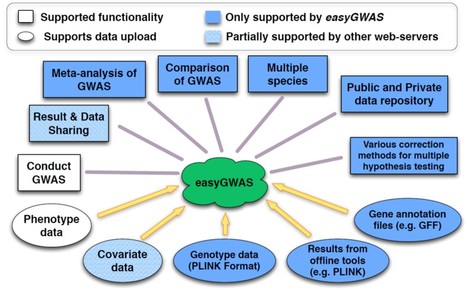 easyGWAS: A Cloud-based Platform for Comparing the Results of Genome-wide Association Studies | The Plant Cell | Scoop.it