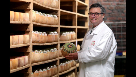 Roubaix : une petite vache orange pour rajeunir les fromages de César Losfeld | Lait de Normandie... et d'ailleurs | Scoop.it
