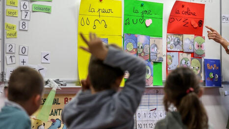 Faut-il enseigner la lecture aux enfants d&egrave;s la maternelle pour pallier les difficult&eacute;s en fran&ccedil;ais&nbsp;? / France Info | Veille professionnelle des Biblioth&egrave;ques-M&eacute;diath&egrave;ques de Metz | Scoop.it