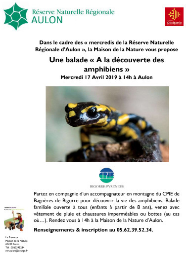 A la découverte des amphibiens à Aulon le 17 avril | Vallées d'Aure & Louron - Pyrénées | Scoop.it