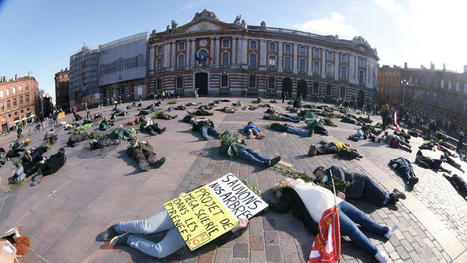 Place du Capitole à Toulouse, ils manifestent contre un projet de méga-scierie à Lannemezan | Vallées d'Aure & Louron - Pyrénées | Scoop.it