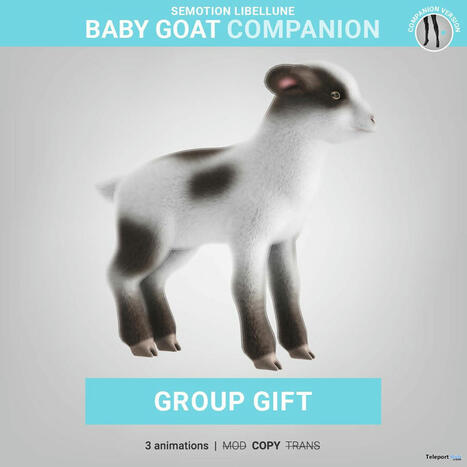 Baby Goat Companion May 2024 Group Gift by SEmotion Libellune | Teleport Hub - Second Life Freebies | Second Life Freebies | Scoop.it