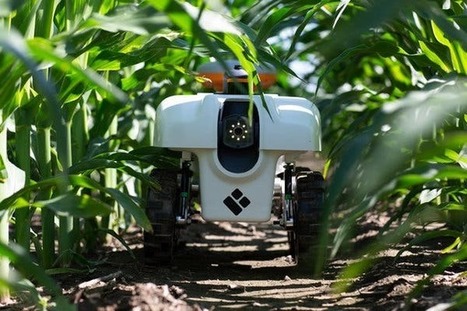 An Agricultural Robot for Future from Southern University of Science and Technology | Technology in Business Today | Scoop.it