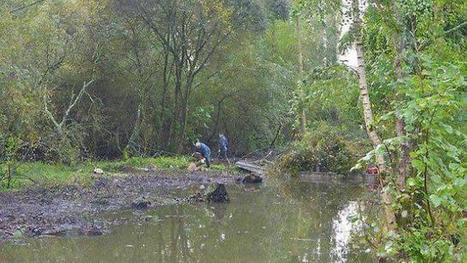 Protection des marais : un chantier intercommunal | Biodiversité | Scoop.it