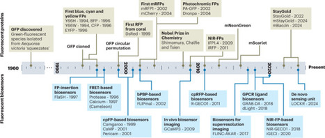 Recent developments of fluorescent proteins and biosensors driven by cross-disciplinary insights | Nmet | RMH | Scoop.it