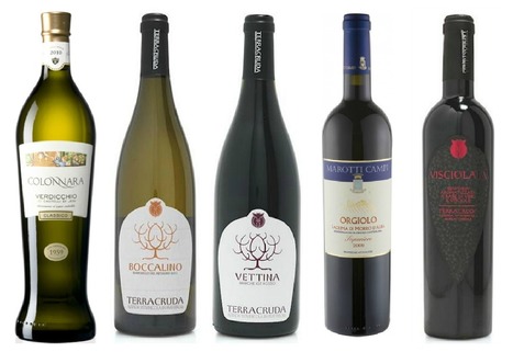 5 Wines from Le Marche, The east coast of Italy | Good Things From Italy - Le Cose Buone d'Italia | Scoop.it