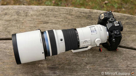 Olympus 150-400mm f4.5 Pro Review (vs Canon 800mm f5.6) | Mirrorless Cameras | Scoop.it