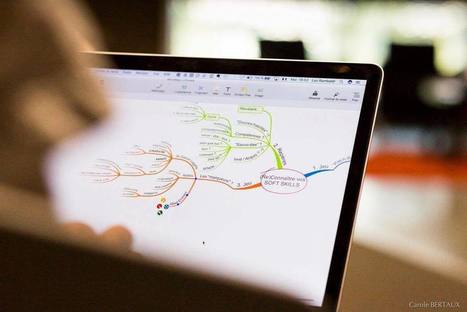 Realiplus | Cartes mentales | Scoop.it