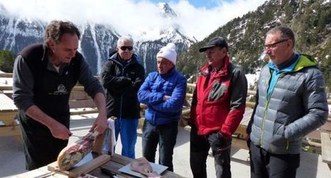 Le porc noir de Bigorre attend une double appellation | Vallées d'Aure & Louron - Pyrénées | Scoop.it