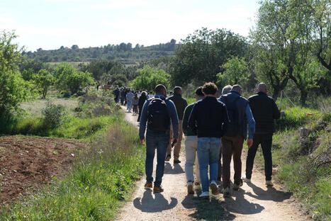 When forests bring people together: FOREST diplomacy and the EFI Mediterranean Network Forum 2026 | CIHEAM Press Review | Scoop.it