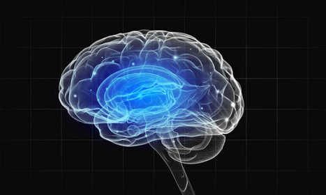 #temadeldía #CEREBRO #educacion   // Cerebro borra recuerdos para tener más espacio de memoria | Educación, TIC y ecología | Scoop.it