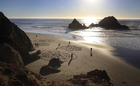 Erased by the tide | Sandy Beach Ecology & Management | Scoop.it