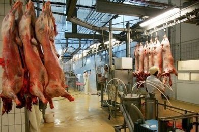 Bègles (33) : le nouvel abattoir sur la CUB se fait attendre | La Gazette des abattoirs | Scoop.it