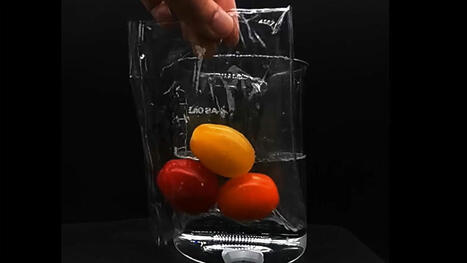 Un nouveau plastique biod&eacute;gradable s&ucirc;r pour les sols et les oc&eacute;ans | Plan&egrave;te DDurable | Scoop.it