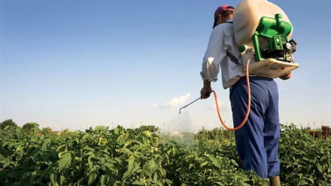 MAROC : Le ministre de l&rsquo;Agriculture annonce un renforcement du contr&ocirc;le des pesticides | CIHEAM Press Review | Scoop.it