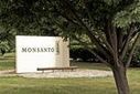 Monsanto, un demi-siècle de scandales sanitaires - LeMonde.fr | MOVUS  Movement for a Sustainable Uruguay | Scoop.it