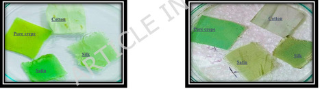 Biochromatic potential of Pseudomonas aeruginosa from grapes: molecular profiling, antimicrobial action and eco-friendly dye applications | Srep | RMH | Scoop.it