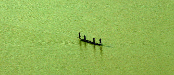 Algae. The surprising key to saving humanity? | The Health Report | Scoop.it