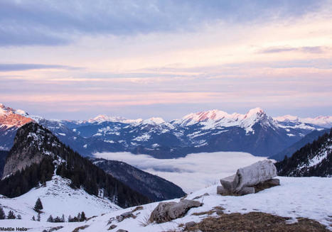 Observer les oiseaux dans le massif des Bauges (Savoie/Haute-Savoie) | Histoires Naturelles | Scoop.it