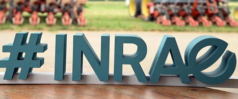 Mieux adapter l’agriculture au changement climatique grâce à la recherche : CoRAE, un projet pilote lancé en Occitanie | Pour innover en agriculture | Scoop.it