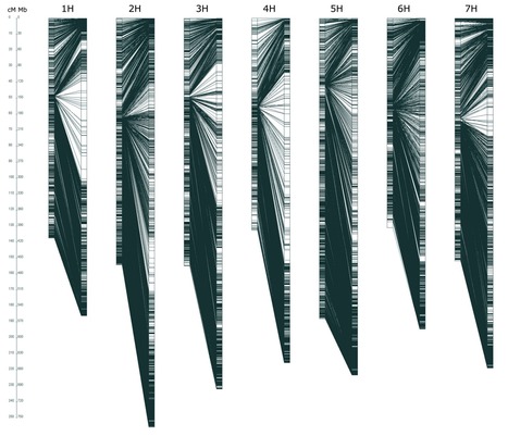 Original Paper in Genome &bull; Belzile Lab 2021 &bull;A high-resolution consensus linkage map for barley based on GBS-derived genotypes | Originals | Scoop.it