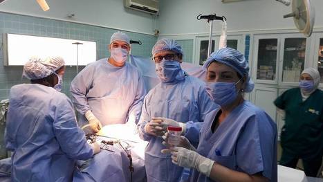 Tunisie - Première médicale : prélèvement de tissu ovarien à une patiente soumise à chimiothérapie | Bioéthique & Procréation | Scoop.it