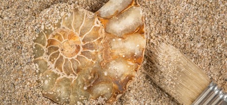 Behold! The IT Archeological Dig &ndash; Yes, Complexity is the Enemy of Security | Cybersecurity Leadership | Scoop.it